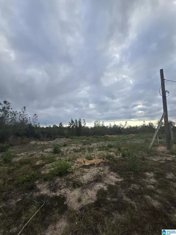 Maplesville, AL 36750,1089 COUNTY ROAD 351 #none