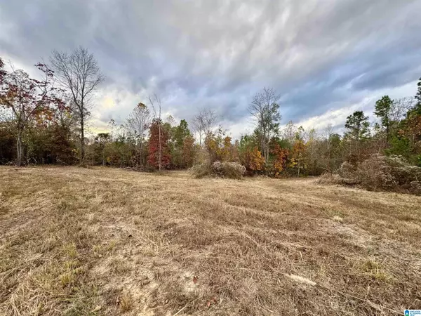 Brookwood, AL 35444,18920 CATTLE RANCH ROAD #2