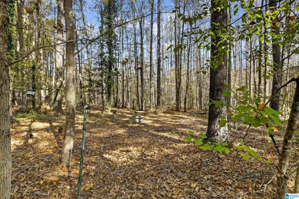 Piedmont, AL 36272,206 PRUITT ROAD