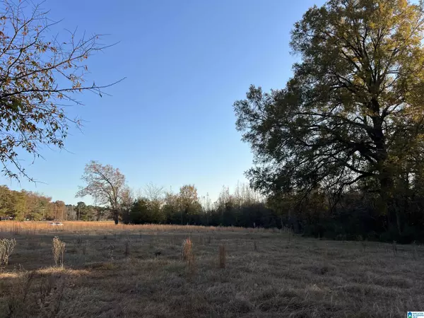 Alpine, AL 35014,11 Acres RISER MILL ROAD #11 acres