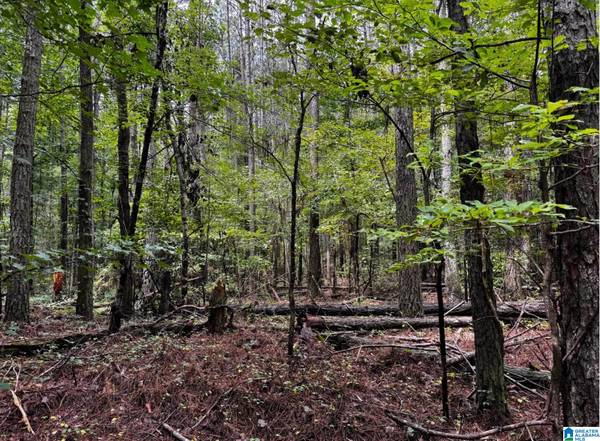 3500 MORGANS RUN PARKWAY #2, Bessemer, AL 35022