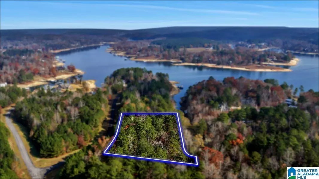 LONG POINT ROAD #58, Double Springs, AL 35553