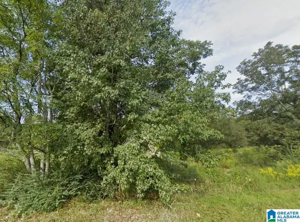 Thorsby, AL 35171,171 S DAKOTA ROAD #-