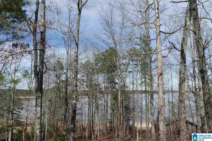 LOT # 18 OVERLOOK DRIVE #18, Wedowee, AL 36278