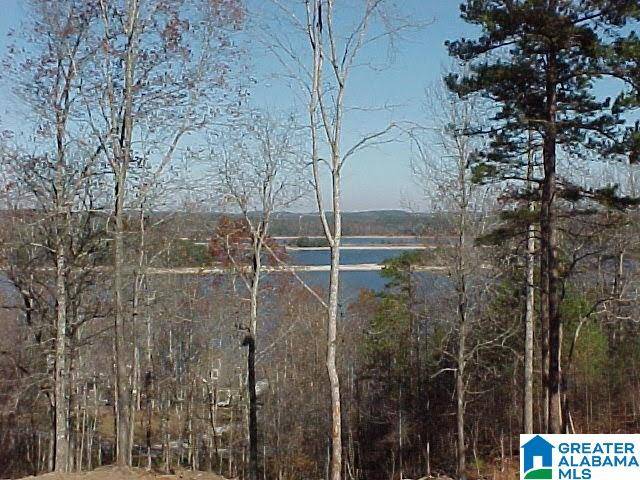 Wedowee, AL 36278,LOT # 20 OVERLOOK DRIVE #20