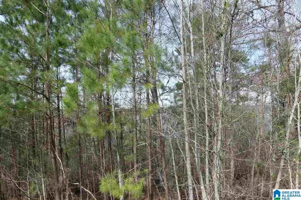 Wedowee, AL 36278,LOT # 20 OVERLOOK DRIVE #20