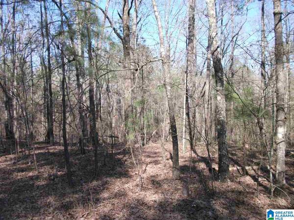 TBD OLD SHOCCO RD #4/3, Talladega, AL 35160