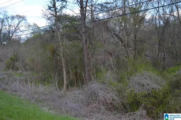 Pinson, AL 35126,7049 HIGHWAY 75 #1