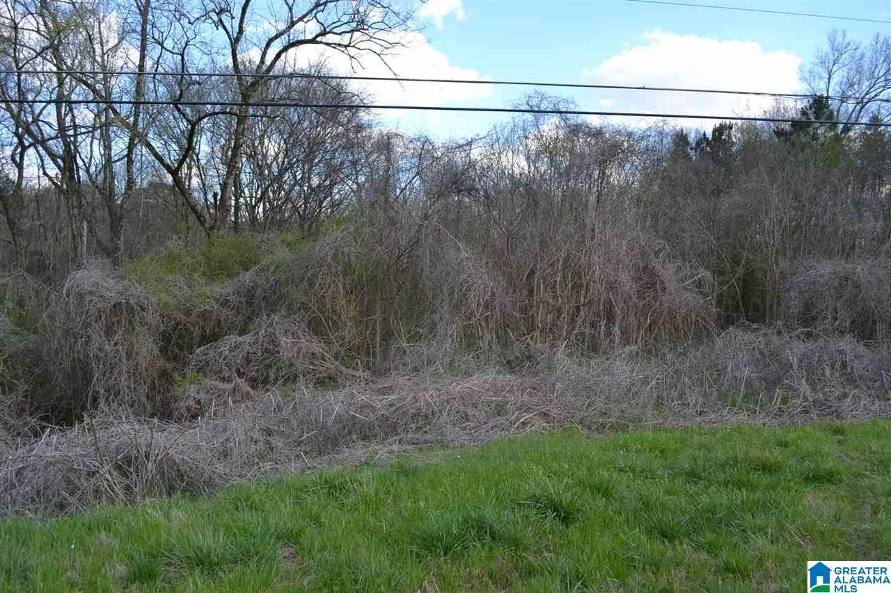 Pinson, AL 35126,7049 HIGHWAY 75 #1