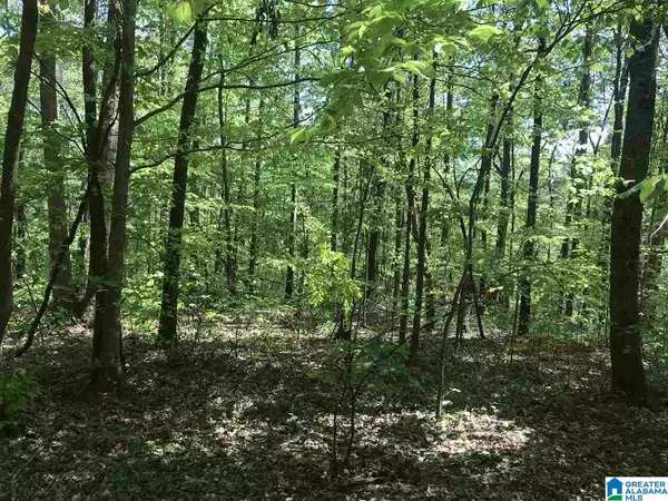 Ashville, AL 35953,0 SHOAL CREST DRIVE #lot 12 13