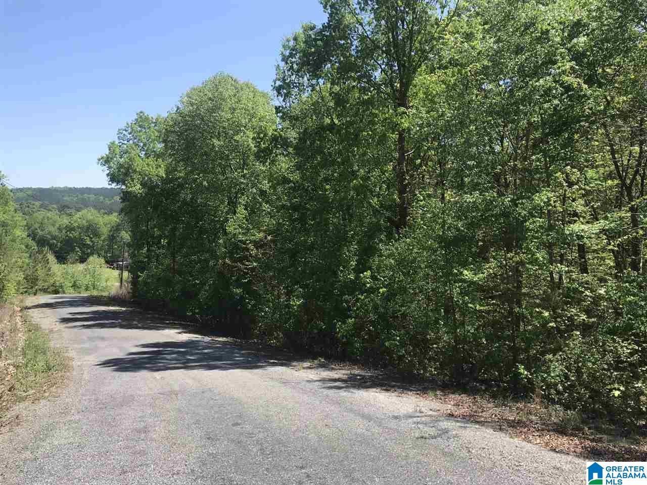 Ashville, AL 35953,000 SHOAL CREST DRIVE #3 and 4
