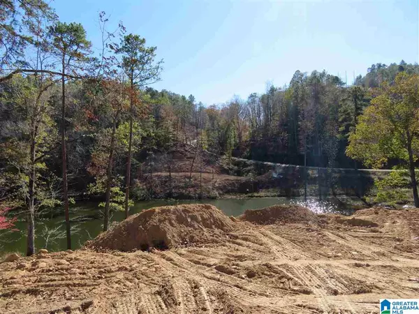 Rockford, AL 35136,Lot 1 PRESERVE DRIVE #1
