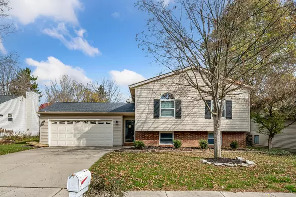 Powell, OH 43065,8256 Big Horn Court