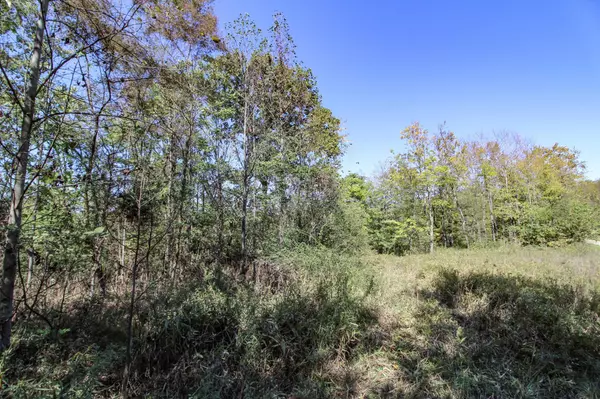 Marietta, OH 45750,Lot 4 Moss Run Road