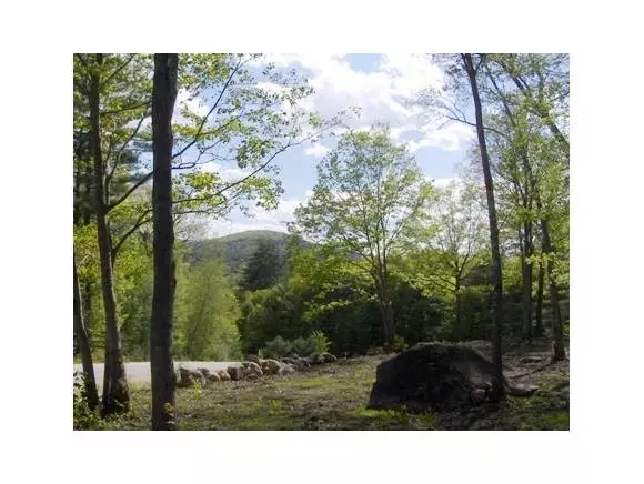 Warner, NH 03278,0 Split Rock Road