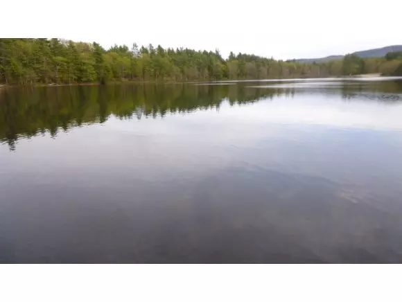 Greenfield, NH 03047,31 Forest Road