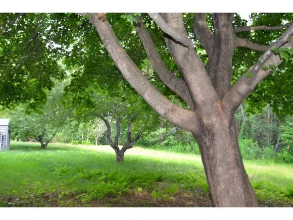 Address Not Disclosed