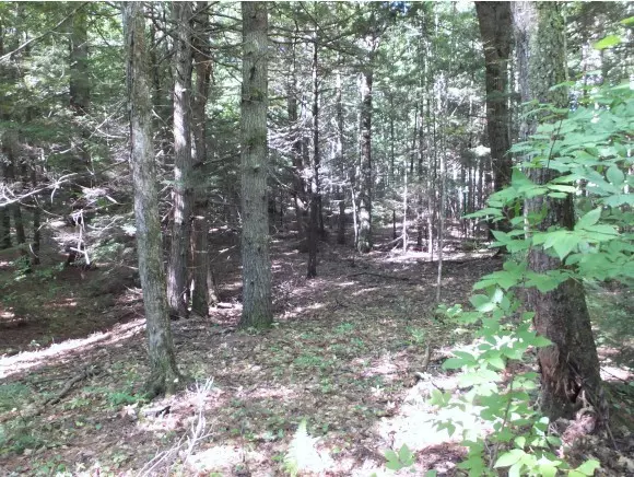 Warner, NH 03278,148 Willaby Colby