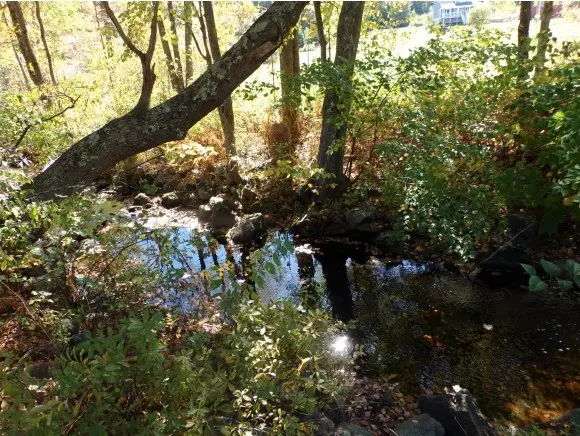 Milton, NH 03851,Lot #122 Willey