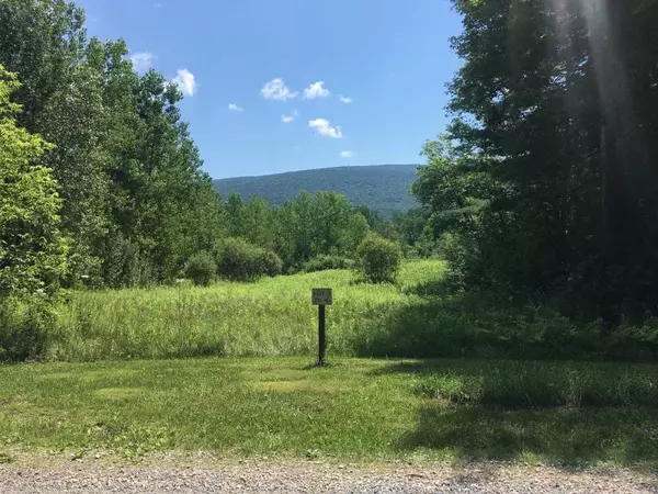 Taconic Business Park RD #Lot #4, Manchester, VT 05255