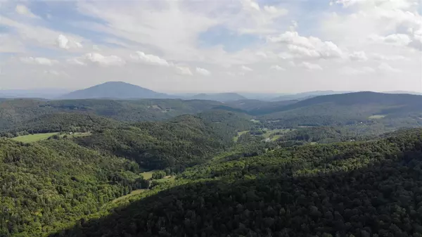 Reading, VT 05062,00 Stone Chimney RD