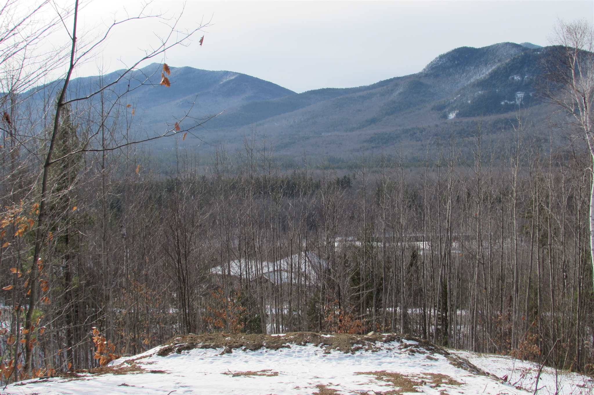 Bartlett, NH 03812,83 Parker Ridge RD