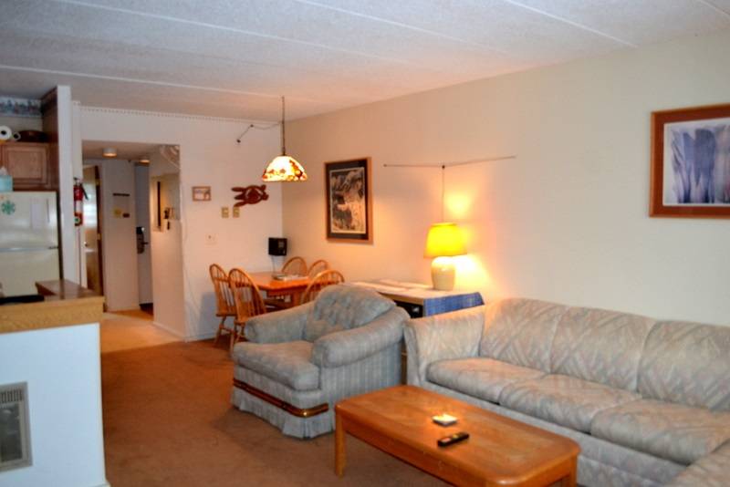 Killington, VT 05751,203 Old Mill RD #B 14
