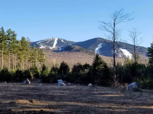 Franconia, NH 03580,28 Notchway DR #1