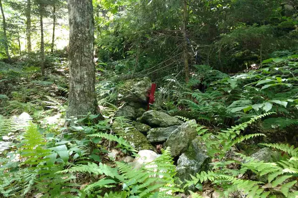 Stockbridge, VT 05772,00 Gilkey RD