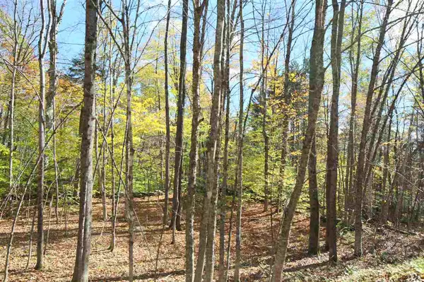 Reading, VT 05062,Twenty Mile Stream RD #Lot 22C