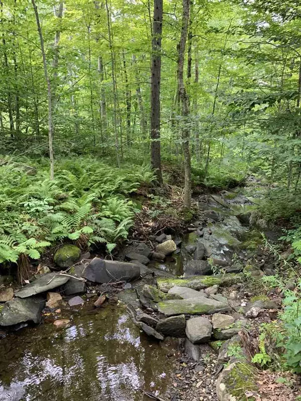 Reading, VT 05062,6828 Tyson RD