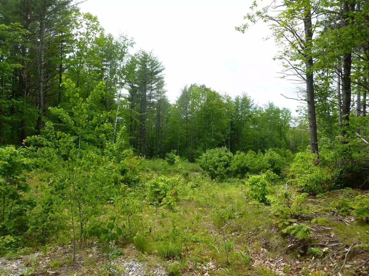 Brookfield, NH 03872,Map 4 Lot 2 Garney RD