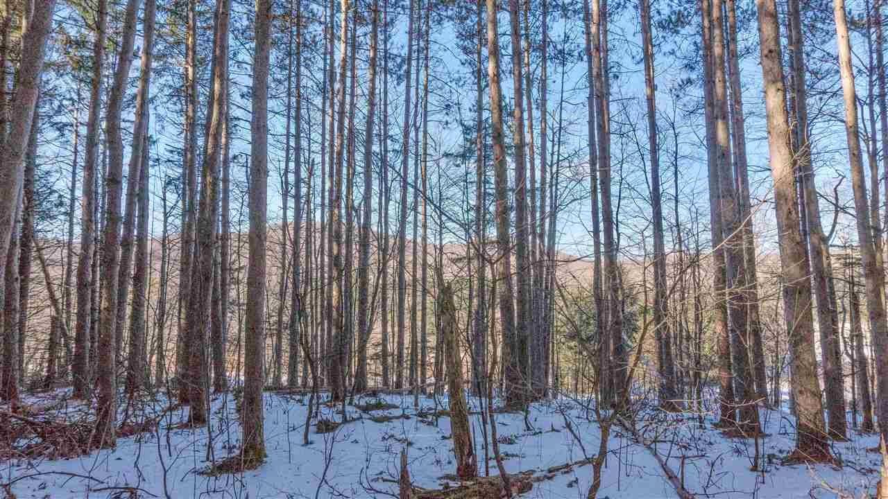 Downingsville RD, Lincoln, VT 05443