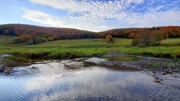 Northfield, VT 05663,0 East Roxbury RD