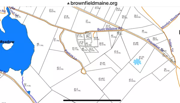 Lot 41-3A Pequawket TRL, Brownfield, ME 04010