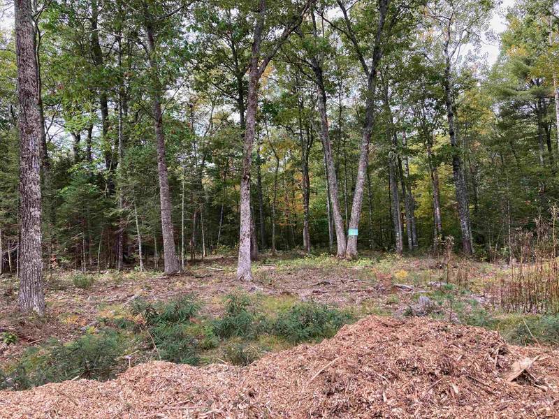 #52 Remington CT #Lot 52, Tuftonboro, NH 03816