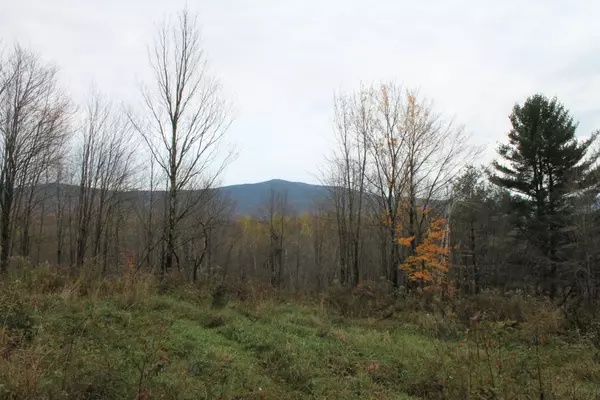 Starksboro, VT 05487,Lot 1 Meadow Brook DR