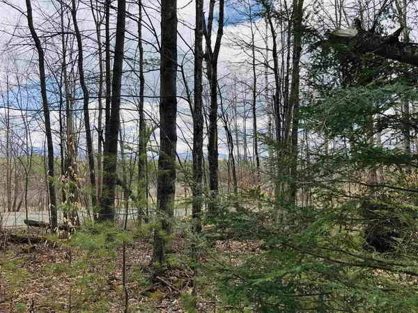 Randolph, VT 05060,0 Fish Hill RD #Lot 9