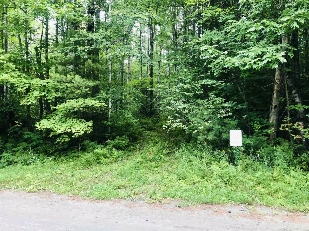 Randolph, VT 05060,0 Fish Hill RD #Lot 9
