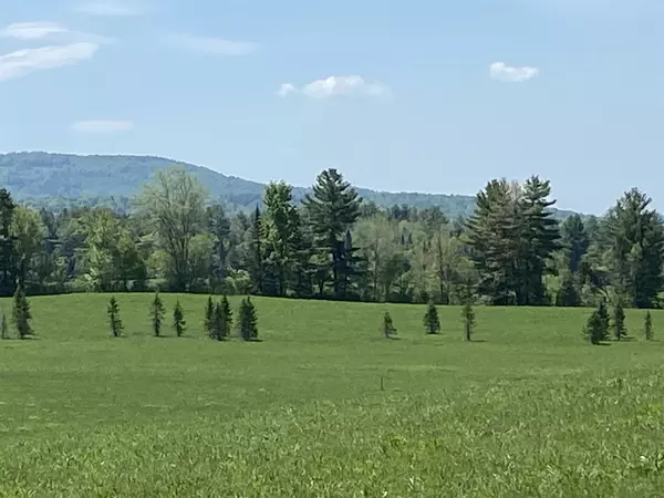 Morristown, VT 05661,TBD Small Pond RD #10