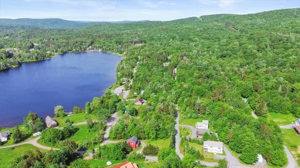 Woodford, VT 05201,61 Talking Tree LN