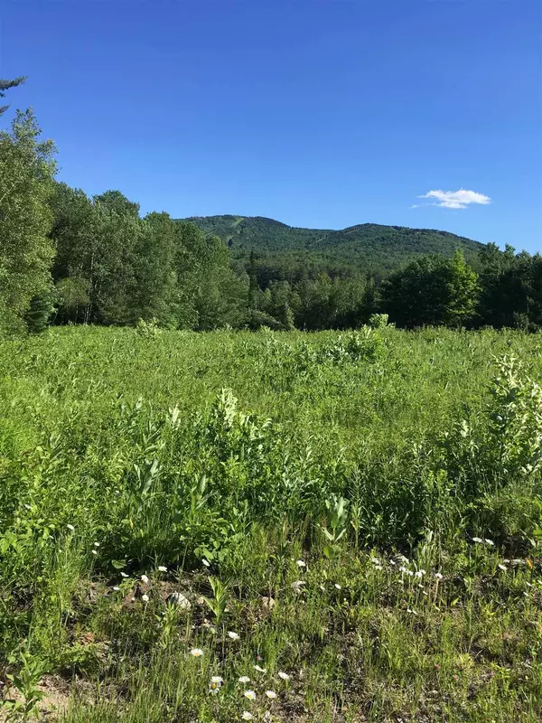 Danbury, NH 03230,Wiggin RD #90-4