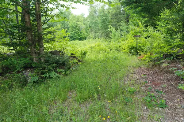 00 North Dorchester RD #Lot 28, Dorchester, NH 03266