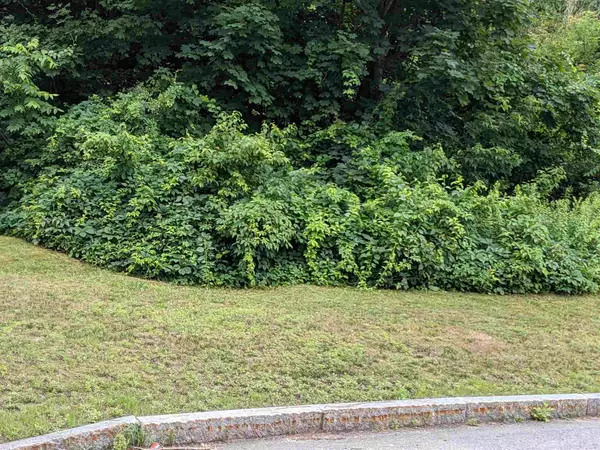 Concord, NH 03301,Lot 25 Walnut ST