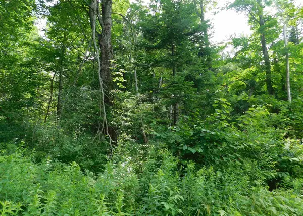 37 Thistle ST,  Upton,  ME 04261