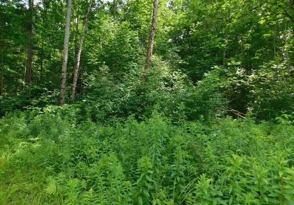 Upton, ME 04261,37 Thistle ST