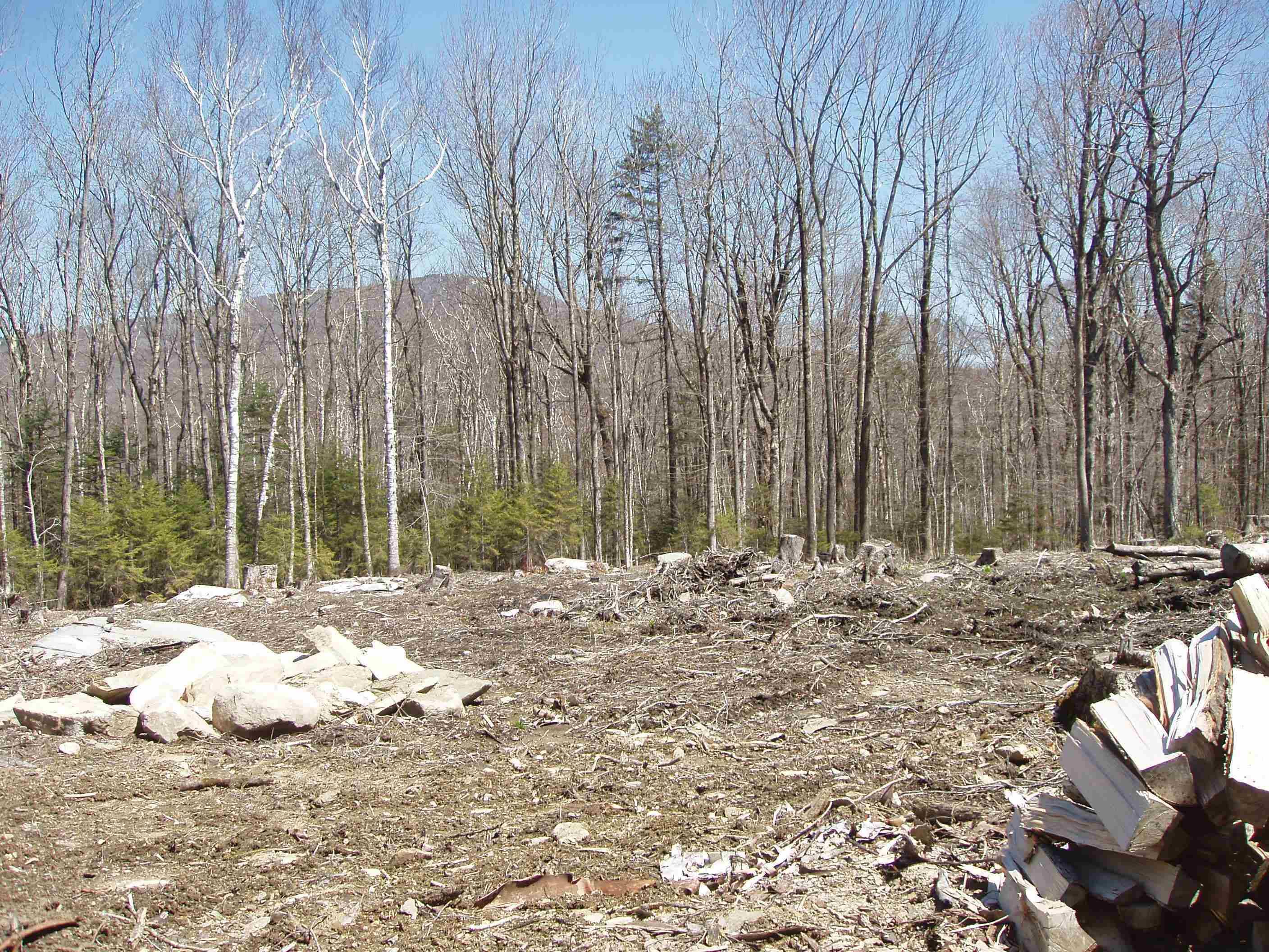 0 Moose Hollow RD #46, Winhall, VT 05340