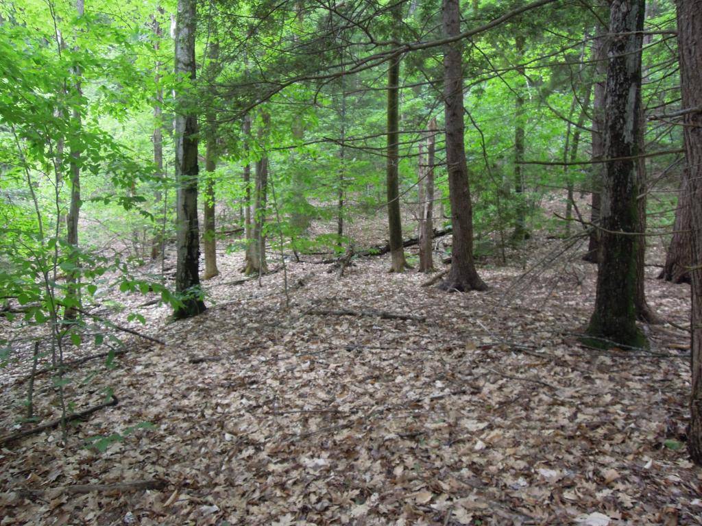 6680 Coolidge HWY, Guilford, VT 05301