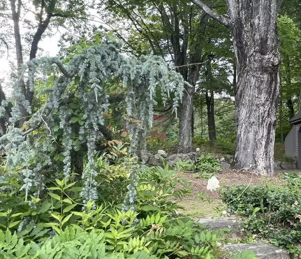 Wilton, NH 03086,195 Wilson RD