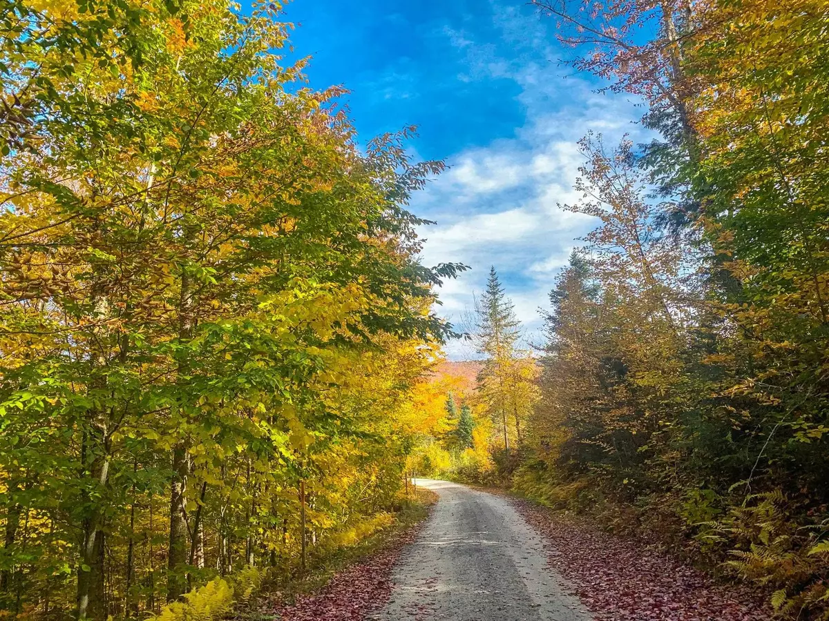 Brighton, VT 05846,Lot 5A & 5B Rosebrook Hill RD